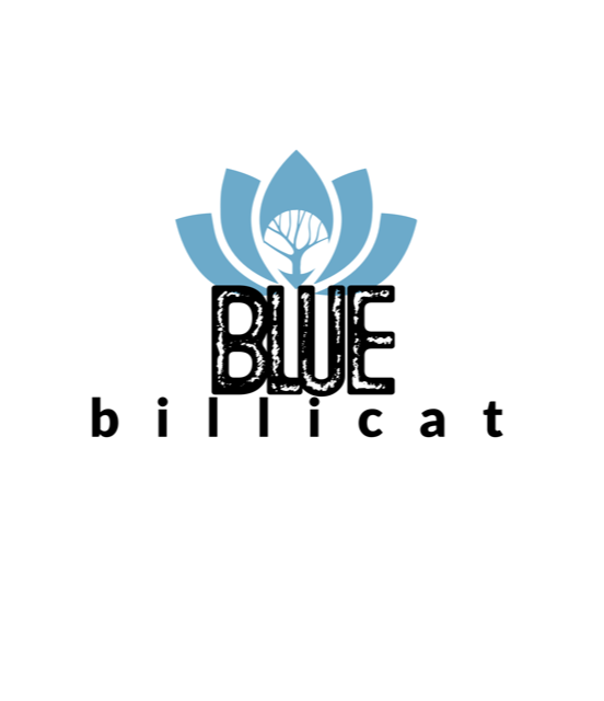 Blue Billicat